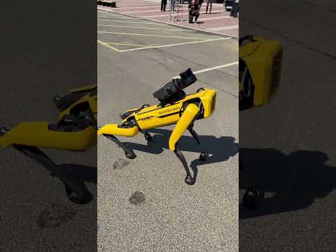 New smart dog robotic dog no more cleaning up the mess ￼